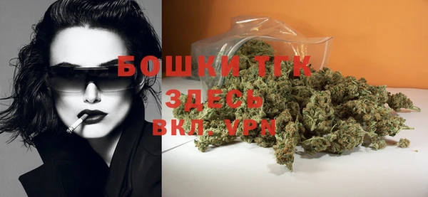 прущие грибы Абаза