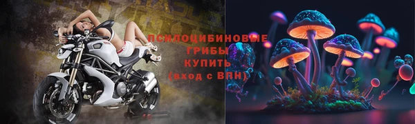 крисы Абинск