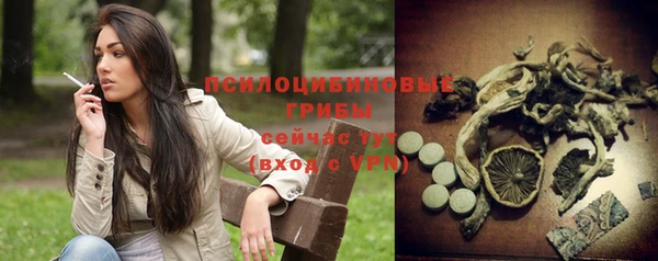 прущие грибы Абаза