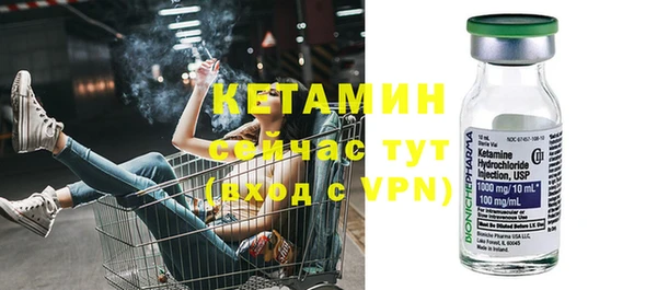 прущие грибы Абаза