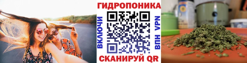 Бошки марихуана план  Заволжье 